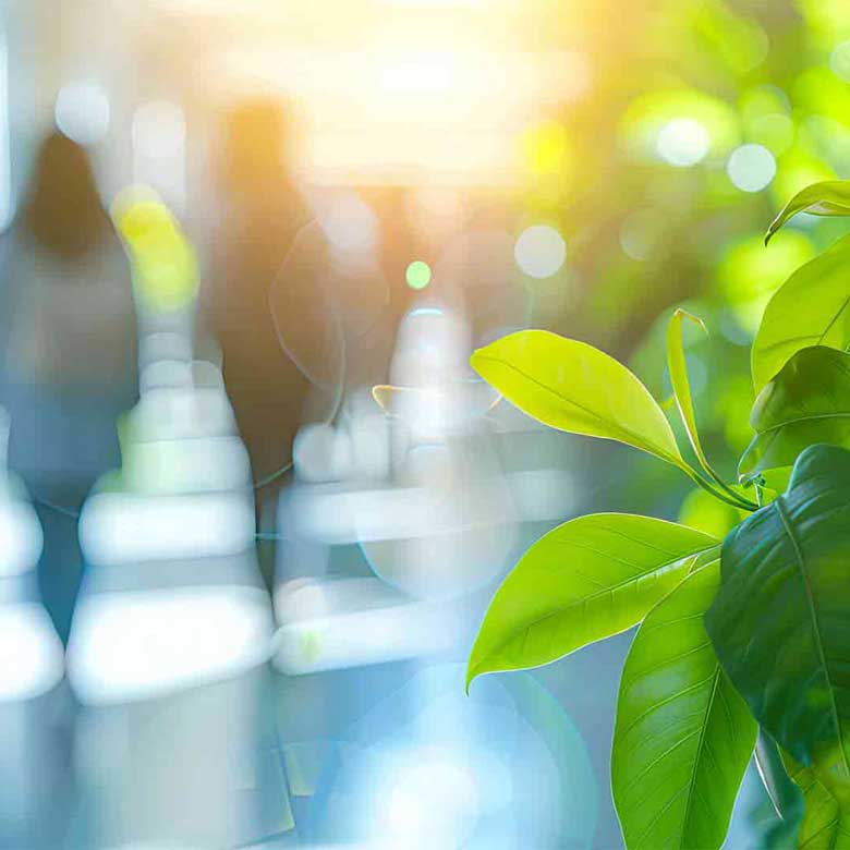 buone pratiche rigenerative